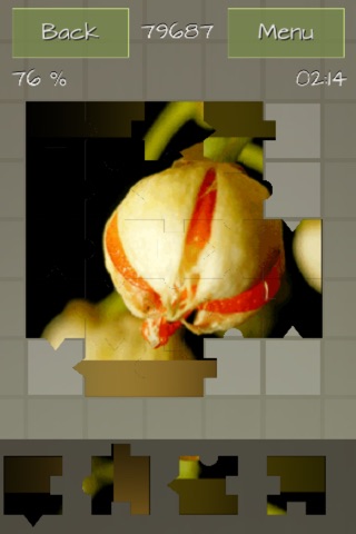 Medicinal Plants Puzzle Deluxe screenshot 3