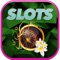 Advanced 7Slots Ace Paradise - Hot Las Vegas Games - Spin & Win