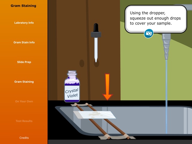 Virtual Labs: Gram Staining(圖5)-速報App