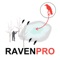 Raven Hunting Strategy Hunting Simulator for Bird Hunting