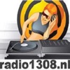 Radio 1308