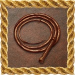 Whip it - Pocket Whip Sounds Pro