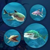 Fish.io Tank Diep - Hungry Warrior Shark Game