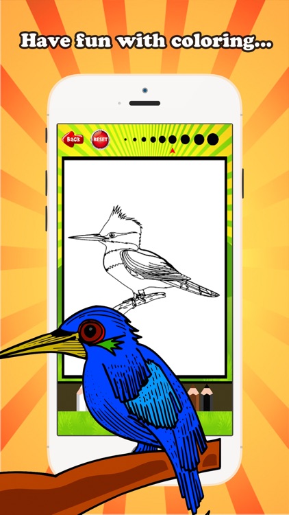 Bird Coloring Book for children age 1-10: Drawing & Coloring page games free for learning skill screenshot-3