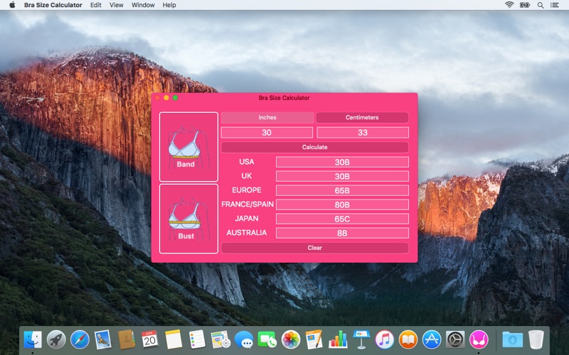 Bra Size Calculator thumbnail 2