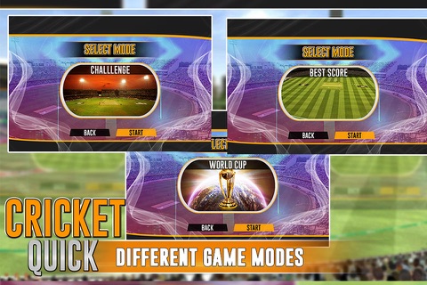 Quick Cricket 3D screenshot 3