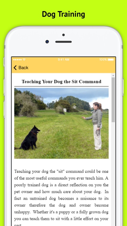 Dog Obedience Training - Basic Commands screenshot-3