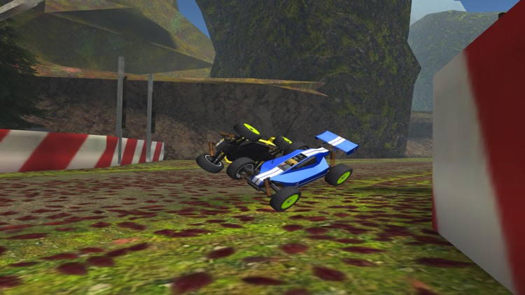 R/C Car Off-Road Racing- Radio Controlled Nitro Buggy Simulator Game PRO screenshot-3