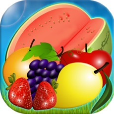Activities of Fruit Matching Adventure
