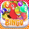 Bingo Birds “ Casino Vegas Edition ” Pro