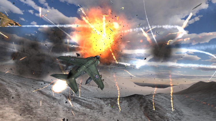 Nevous Pelican - Flight Simulator - Fly & Fight screenshot-3