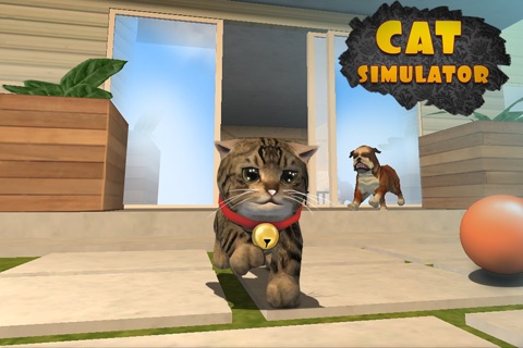 Cat Simulator: Cute Pet 3D Full - Be a kitten, tease a dog! screenshot 4