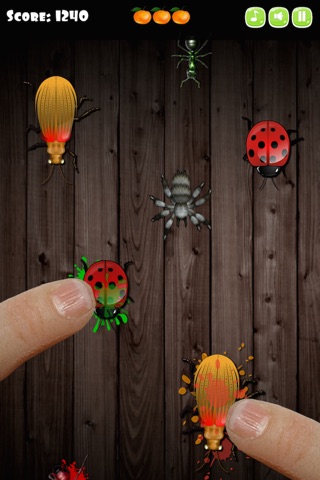 Ladybug Insect Smasher screenshot 3