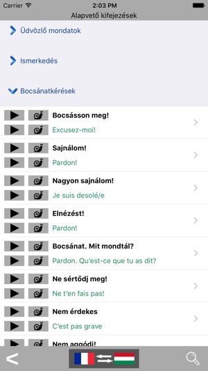 Magyar / Francia kifejezéstár - French / Hungarian phraseboo(圖2)-速報App