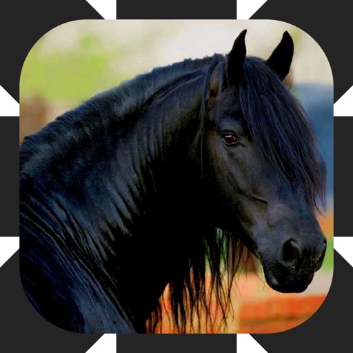 Horse Drive iOS App