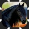 Horse Drive is an addictive game ever