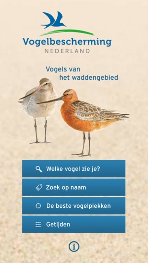 Wadvogels