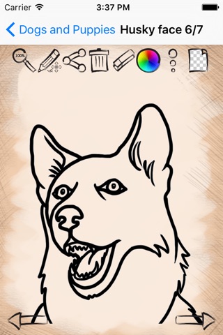 Drawing Tutorials Dogs and Puppies screenshot 4