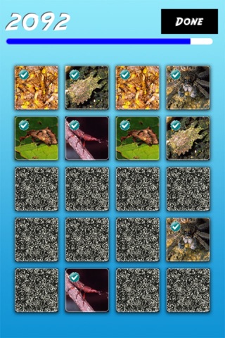 Insects Matching Pairs screenshot 3
