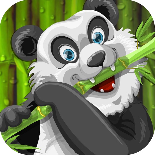 Panda Boo Jump Game of Taichi and Kung Fu Master iOS App