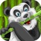 Panda Boo Jump Game of Taichi and Kung Fu Master