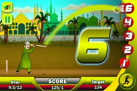 Ramzan Cricket Free screenshot 4