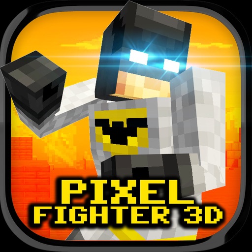 Pixel Fighter 3D Icon