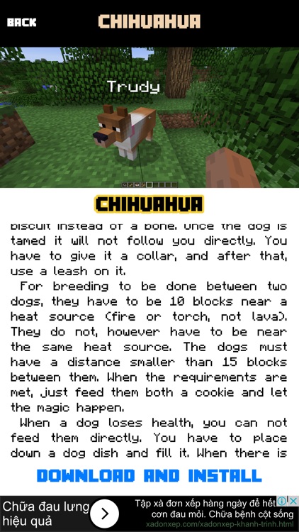 DOG MOD - Pet Dogs Mods Guide for Minecraft PC Edition