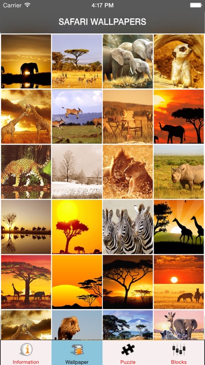 Safari Animals Wallpaper Safari Games
