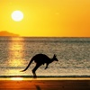 Australian Kangaroo Wallpapers HD: Quotes Backgrounds with Art Pictures
