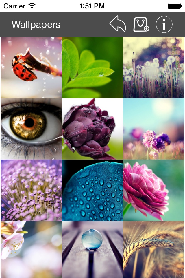 Wallpaper Collection Macro Edition screenshot 4