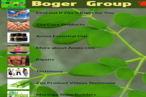 Boger Group screenshot 2