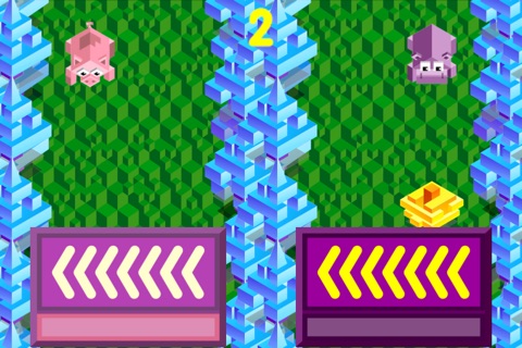 Hippo Arcade Race Frenzy screenshot 2