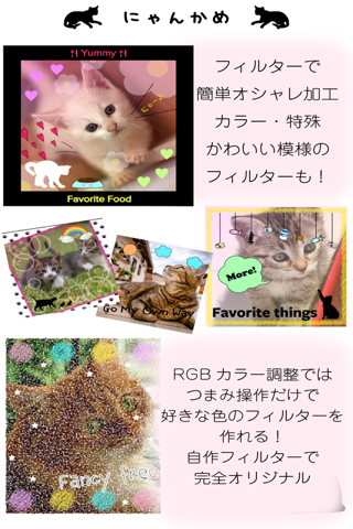 にゃんかめ Silent Camera 〜猫のためのデコアプリ〜 screenshot 4