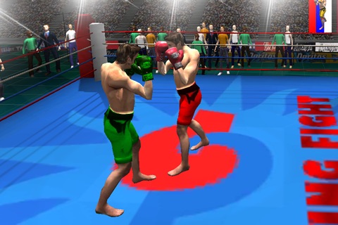 Boxing King Punch 3D screenshot 3