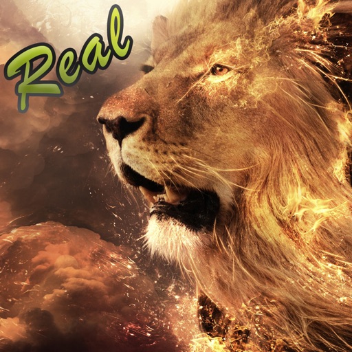 King Lion Safari Hunter Escape iOS App