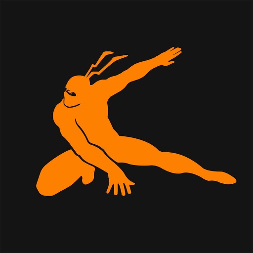 Bodyweight Ninja Icon