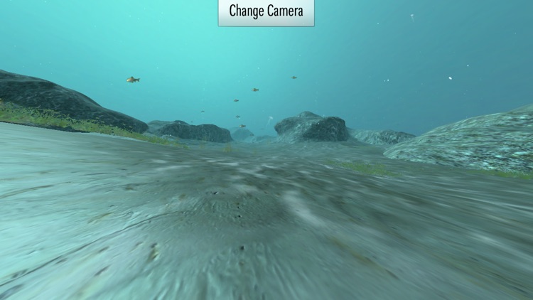 Underwater Sea Simulation