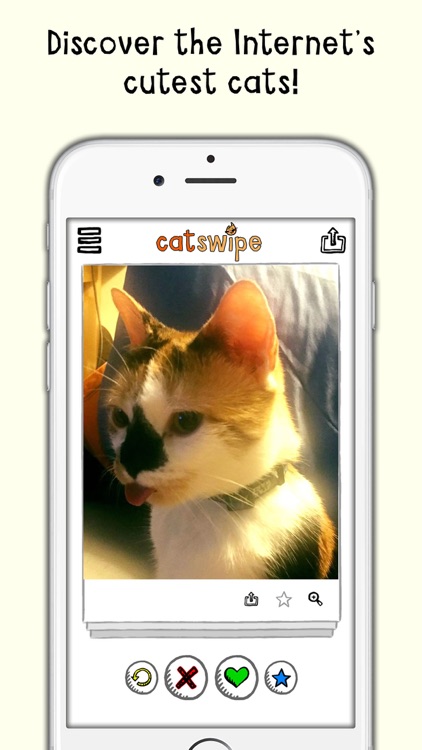 catSwipe - Swipe your way through endless kitties!