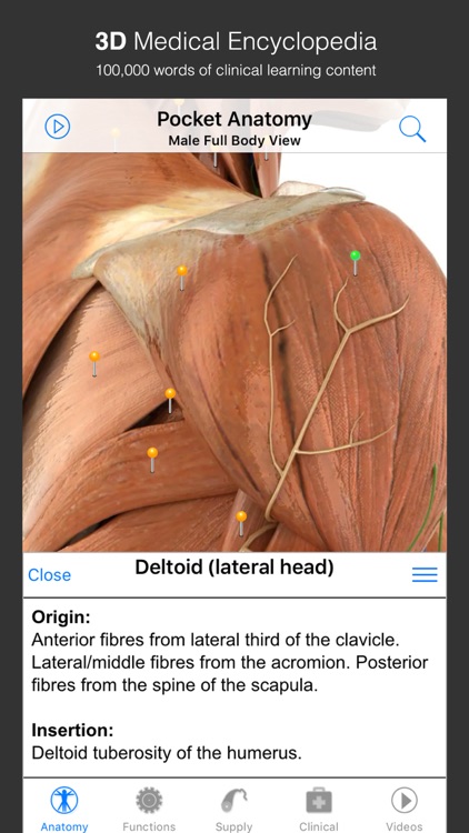 Pocket Anatomy - Interactive 3D Human Anatomy and Physiology.