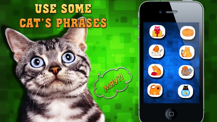 Cat Translator simulator