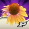 The Purdue Perennial Doctor app has been developed by experts at Purdue University to help people better identify and manage insect, disease and environmental problems you find on your herbaceous, perennial landscape plants, from anemone to yarrow, to name but a few of the more than 100 commonly planted perennials in the Midwest