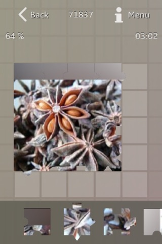 Medicinal Plants Puzzle screenshot 2