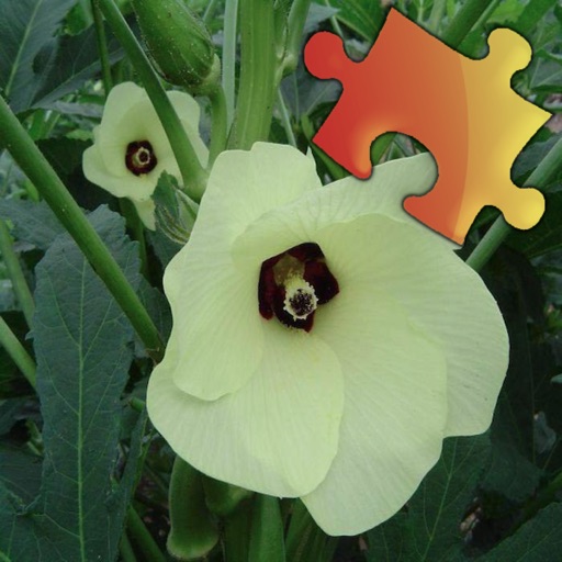 Medicinal Plants Jigsaw Puzzles icon