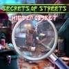 Secrete Of Street