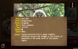 Game screenshot Birds Collection-The library of wild birds video- apk