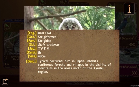 Birds Collection-The library of wild birds video- screenshot 2
