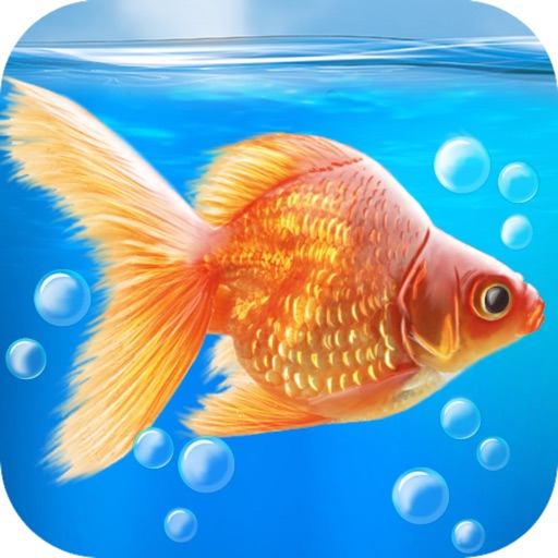 Aquarium Goldfish 3D