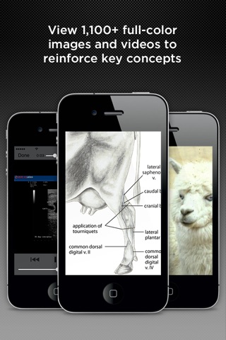 Merck Veterinary Manual screenshot 2