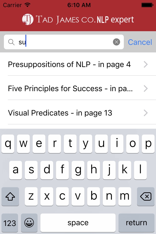 NLP Expert screenshot 2